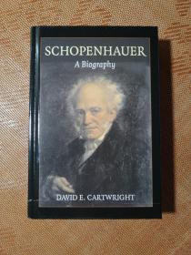 叔本华：传记 Schopenhauer：A Biography