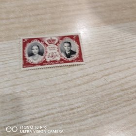 印度尼西亚 王子与公主的皇室婚礼纪念邮票新票 非常精美！喜气洋洋！全品 收藏