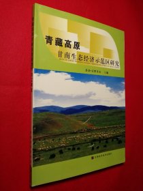 青藏高原甘南生态经济示范区研究