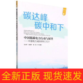 中國(guó)電力減排研究2021:碳達(dá)峰碳中和下中國(guó)低碳電力行動(dòng)與展望