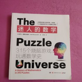 迷人的数学：315个烧脑游戏玩通数学史 【448号】