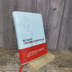 数字化改革：引领全球数字变革的中国力量