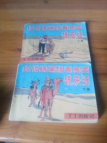 红钳螃蟹贩毒集团破获记 上下集