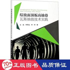 综放面顶板高抽巷瓦斯抽放技术实践 冶金、地质 王成,李思远,柯特 新华正版