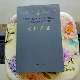 文化苦旅