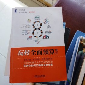 玩转全面预算魔方：世界500强企业CEO、财会界领军人物联袂推荐！财政部十大优秀CFO的实战经验，企业利润倍增图解版