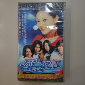 二十集青春偶像连续剧 流星花园20片装VCD