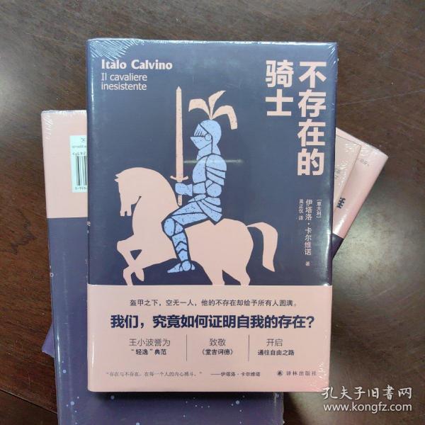 卡尔维诺经典精选作品：不存在的骑士