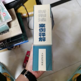 新刑法案例释解