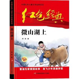 红色经典—微山湖上 中国红色儿童文学经典系列 小学生四五六年级课外书 少年励志红色经典书籍故事书 革命传统教育读本爱国