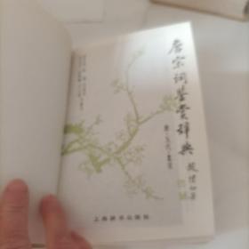 唐宋词鉴赏辞典：唐 五代 北宋