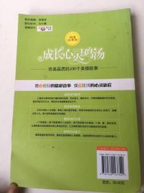 心灵鸡汤-完美品质的100个美德故事