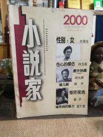 小说家2000大型文学双月刊