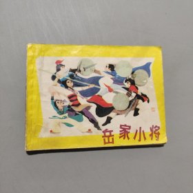 岳家小将
