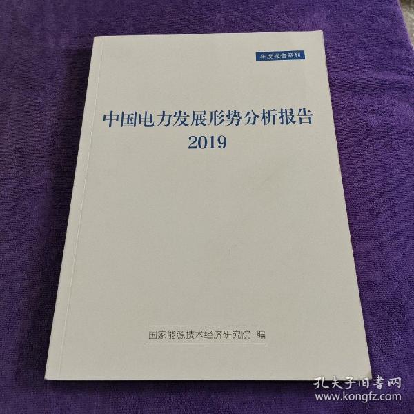 中国电力发展形势分析报告2019