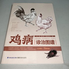 鸡病诊治图谱