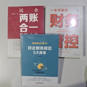 3本 民企两账合一实操手册+一本书看透财务管控+财务的力量2：民企财务规范五大体系