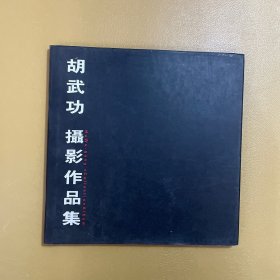 胡武功摄影作品集:1981-1990