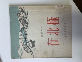 在北极