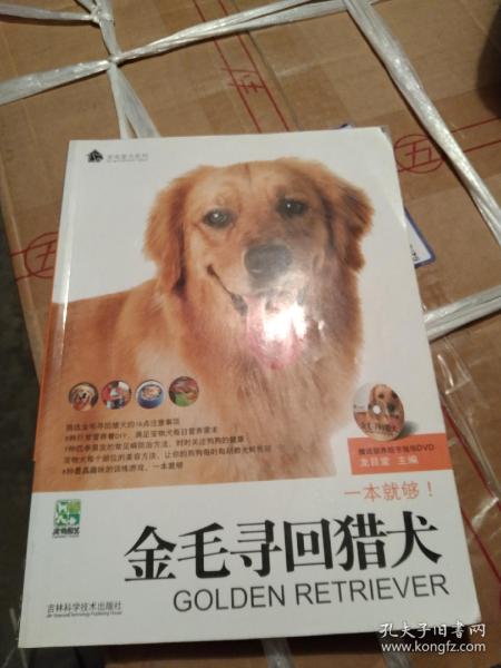 金毛寻回猎犬