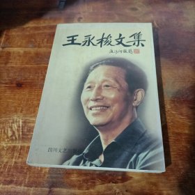 王永梭文集