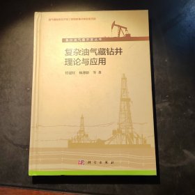 复杂油气藏钻井理论与应用