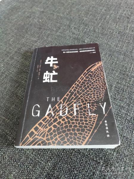 牛虻（我一定要走自己的路，追随我所见到的光明。无数人因为读它重获力量）