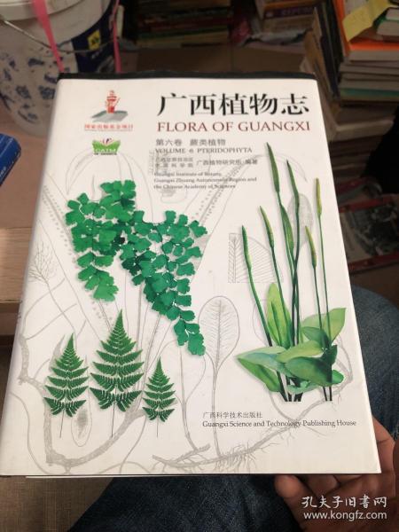 广西植物志 第六卷 蕨类植物