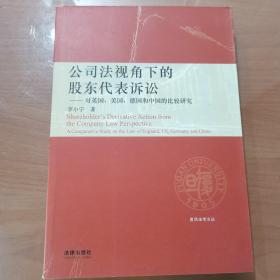 公司法视角下的股东代表诉讼