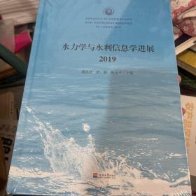 水力学与水利信息学进展（2019）