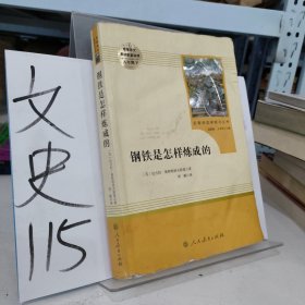 统编语文教材配套阅读 八年级下：钢铁是怎样炼成的/名著阅读课程化丛书