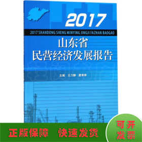 2017山东省民营经济发展报告