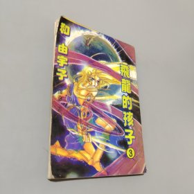 飛龍的孩子3