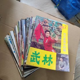 武林杂志40本合售（不重复）