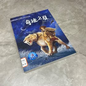 大白鲸原创幻想儿童文学优秀作品·奇迹之夏