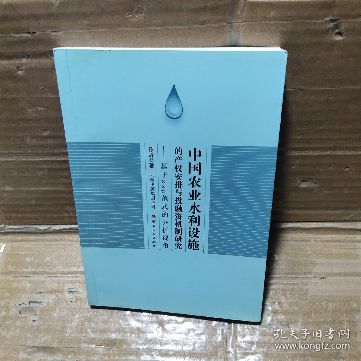 中国农业水利设施的产权安排与投融资机制研究：基于SSP范式的分析视角