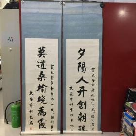 大安科协书法-对联一副（卷轴尺寸：长300cm  宽59.5cm  托心：长205cm  宽49.5cm)  【101】