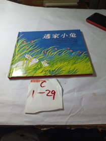 信谊绘本世界精选图画书：逃家小兔