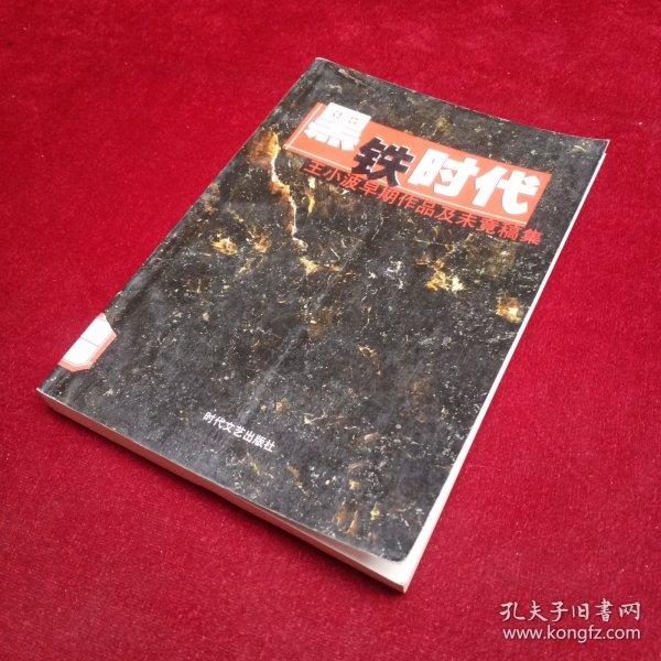 黑铁时代：王小波早期作品及未竟稿集