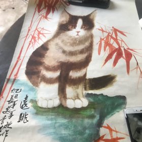 远眺（猫）