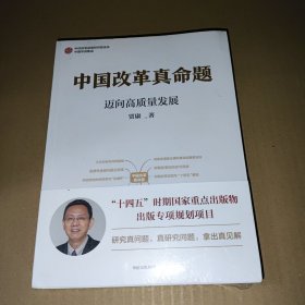 中国改革真命题：中国改革过程中，攻坚期和深水区后的难点和“卡脖子”问题