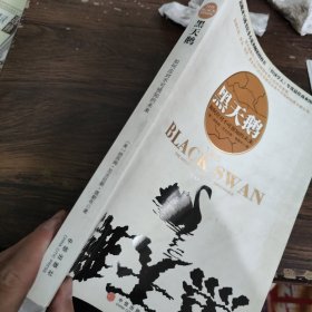 黑天鹅：如何应对不可知的未来