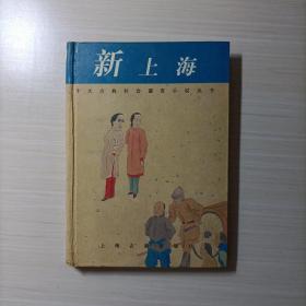 新上海：十大古典社会谴责小说丛书