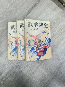 武林魂宝