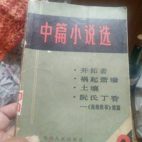 中篇小说选（2）