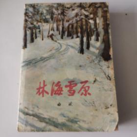 林海雪原（1964版）