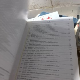 实用人体解剖彩色图谱