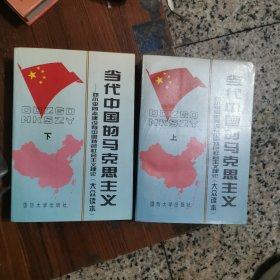 当代中国的马克思主义（上下）