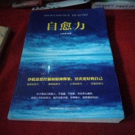 自愈力巜大16开平装》