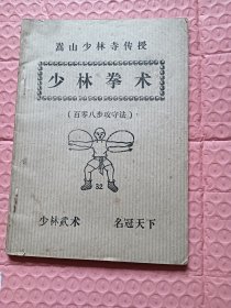 少林拳术